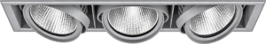 PAVO