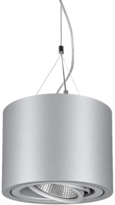 PAVO P 237