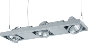 PAVO P 3